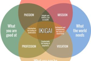 Follow Your Ikigai